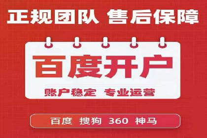 某品牌通过SEM关键词实现品牌推广的实战案例